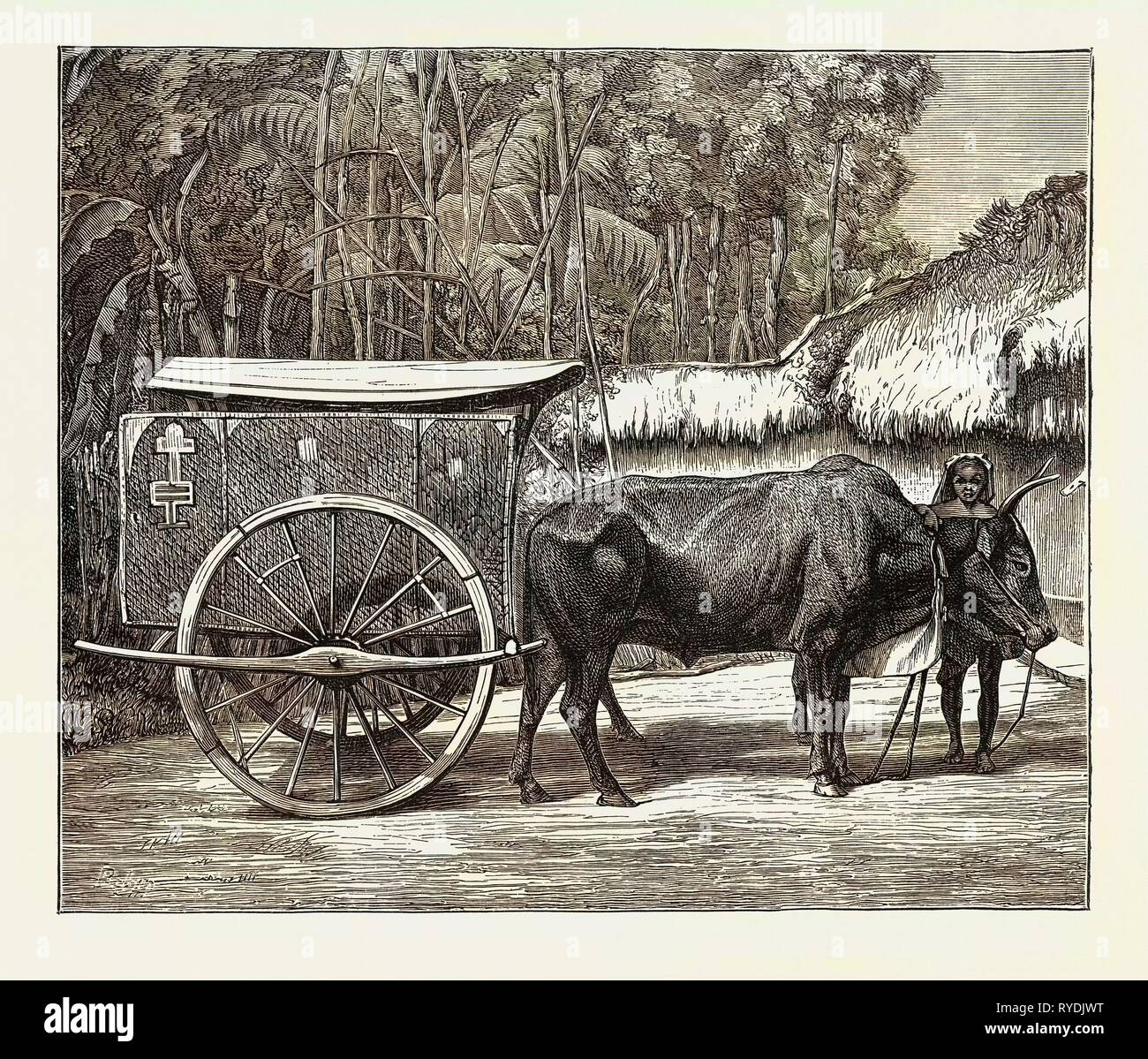 The Phantom Bullock Cart of Churaman Nagri, Chhattisgarh